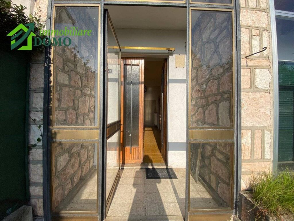 xxl-3