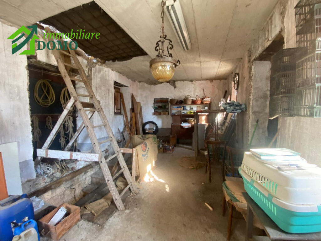 999__whatsapp_image_2025-03-06_at_15_25_25__6_wmk_0