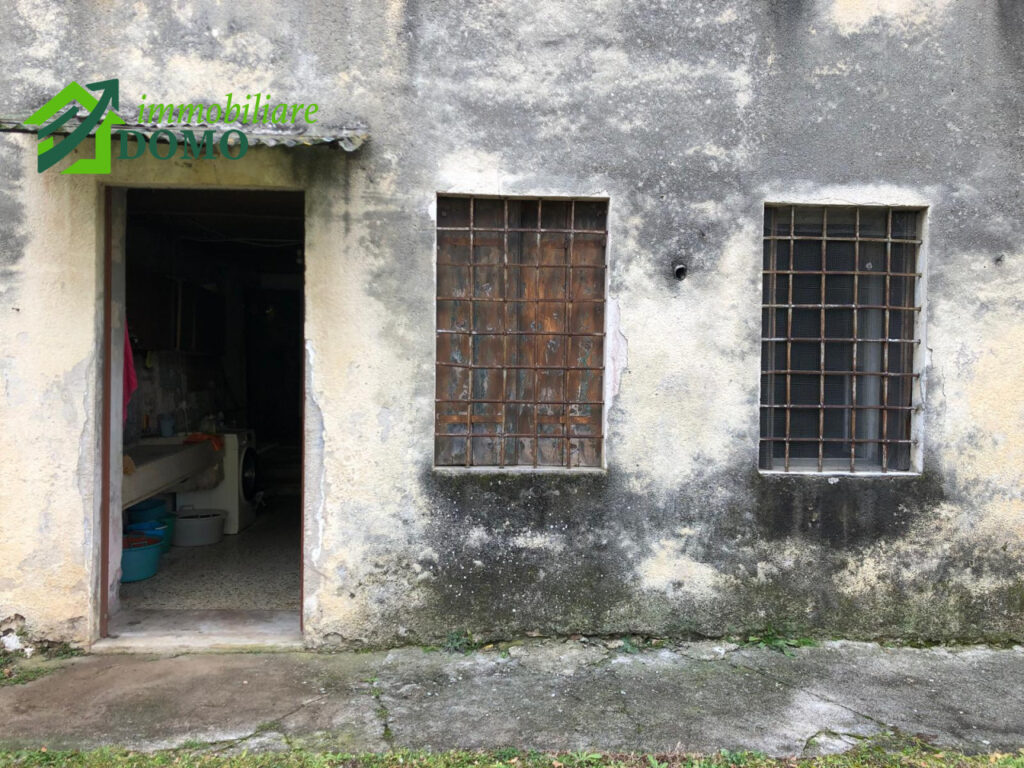 003__whatsapp_image_2026-02-05_at_13_57_12__4_wmk_0