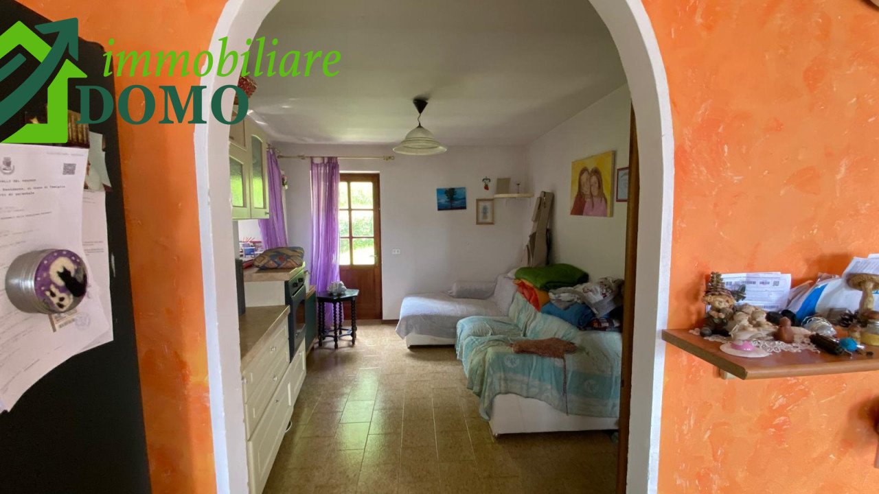 006__whatsapp_image_2024-06-03_at_11_01_02__5_wmk_0