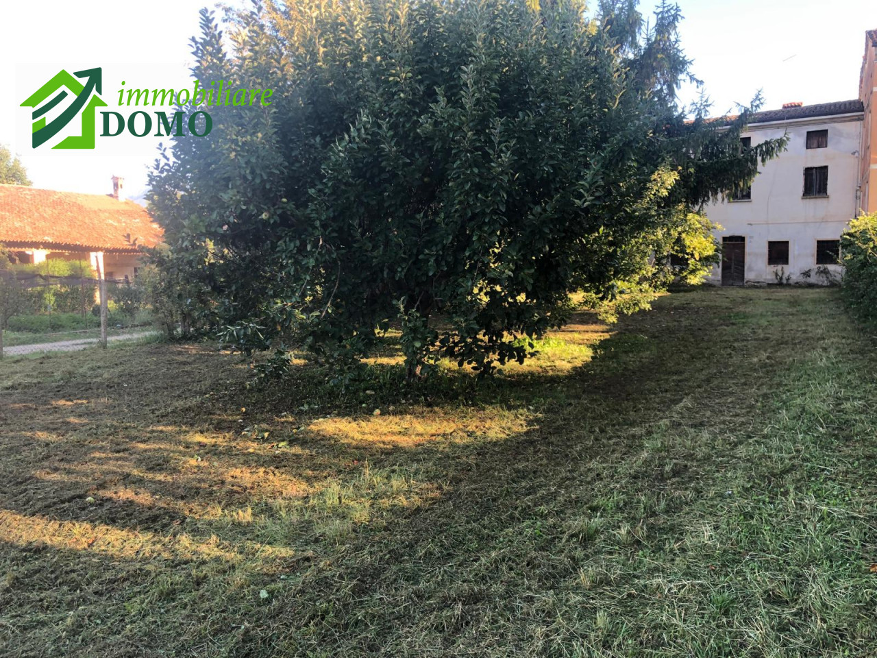 006__whatsapp_image_2025-09-19_at_10_30_24__3_wmk_0