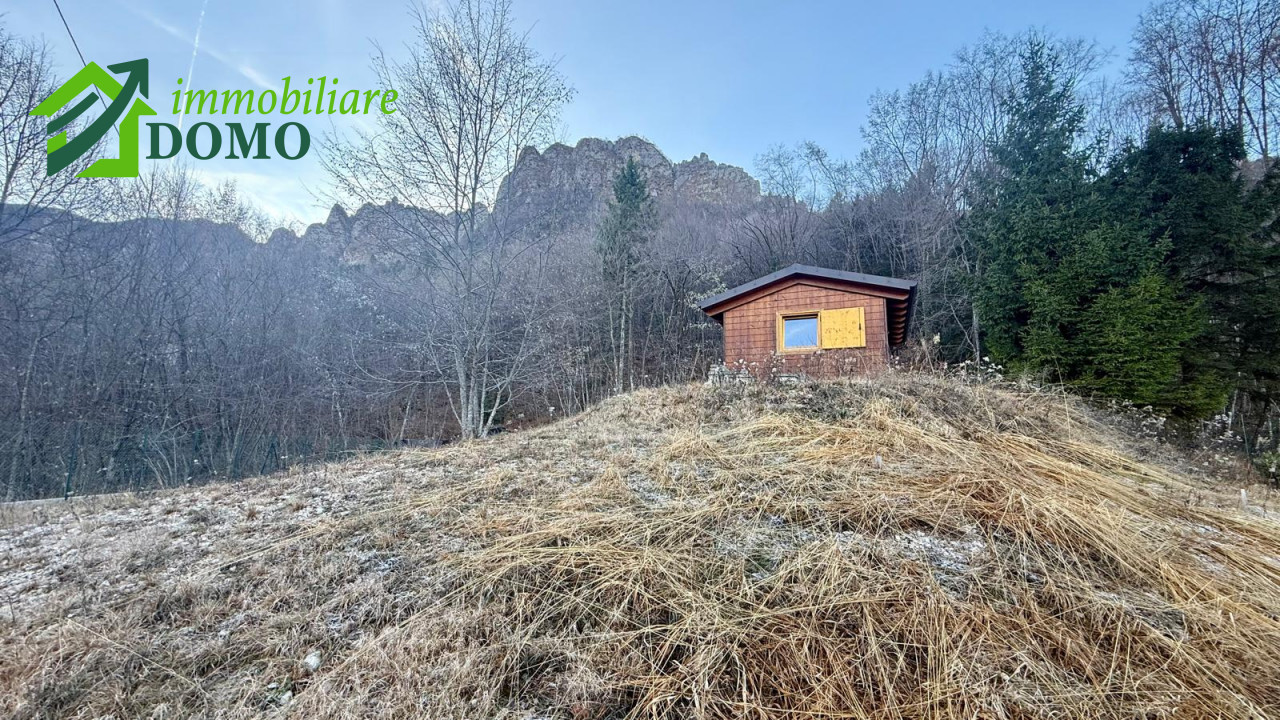 011__whatsapp_image_2025-12-12_at_13_13_18__3_wmk_0