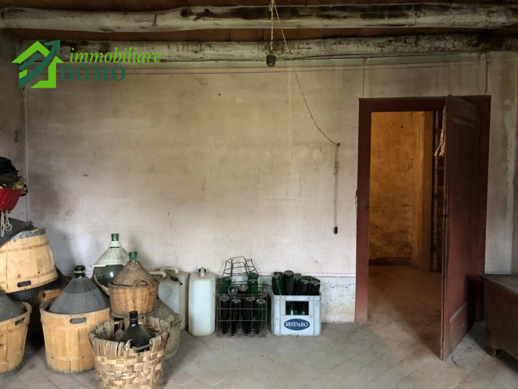 023__whatsapp_image_2026-02-05_at_13_57_12__28_wmk_0