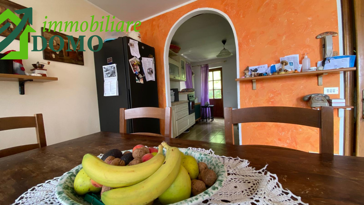 027__whatsapp_image_2024-06-03_at_11_01_02__4_wmk_0