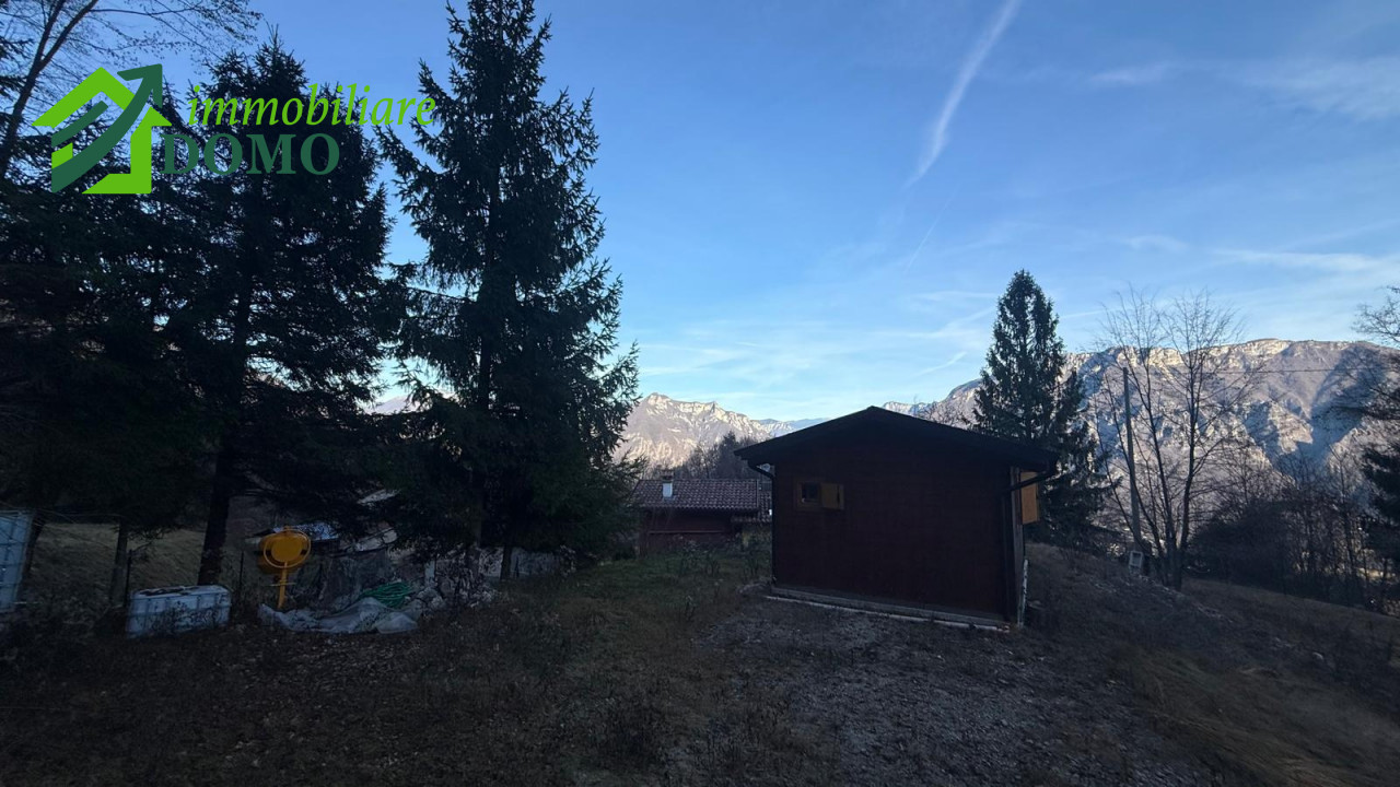 029__whatsapp_image_2025-12-12_at_10_22_36__2_wmk_0