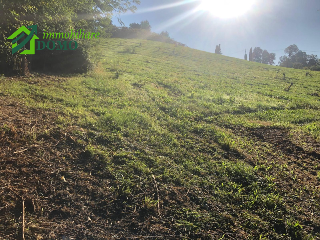 047__whatsapp_image_2025-09-19_at_10_30_27__11_wmk_0