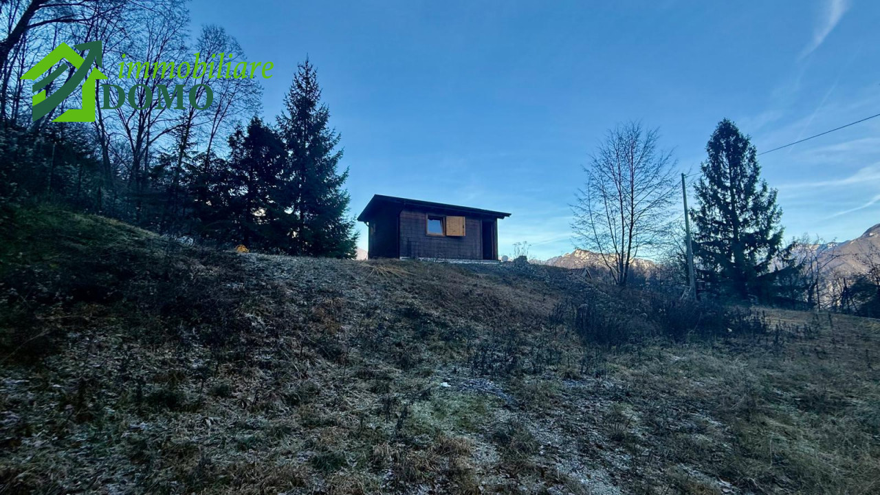 049__whatsapp_image_2025-12-12_at_13_13_17__1_wmk_0