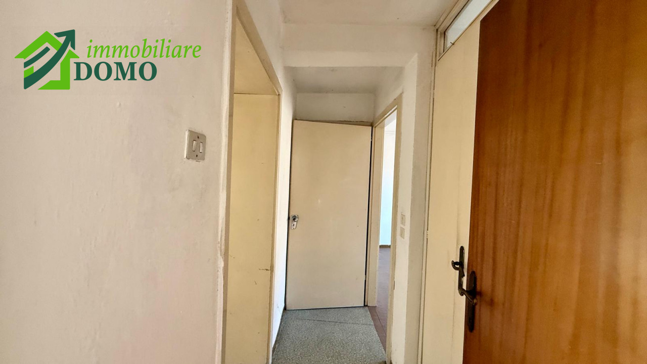 050__whatsapp_image_2026-01-08_at_12_54_32__2_wmk_0