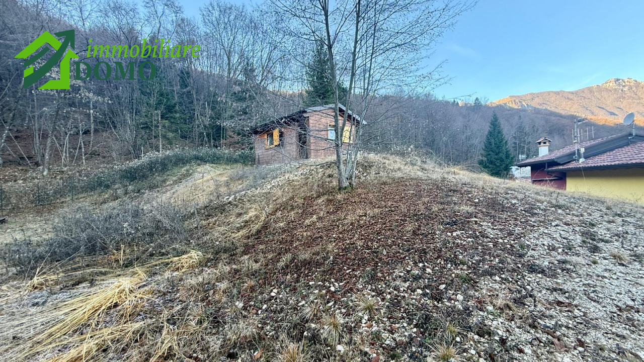 054__whatsapp_image_2025-12-12_at_13_13_18__1_wmk_0