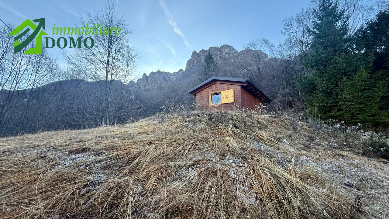 056__whatsapp_image_2025-12-12_at_13_13_18__4_wmk_0