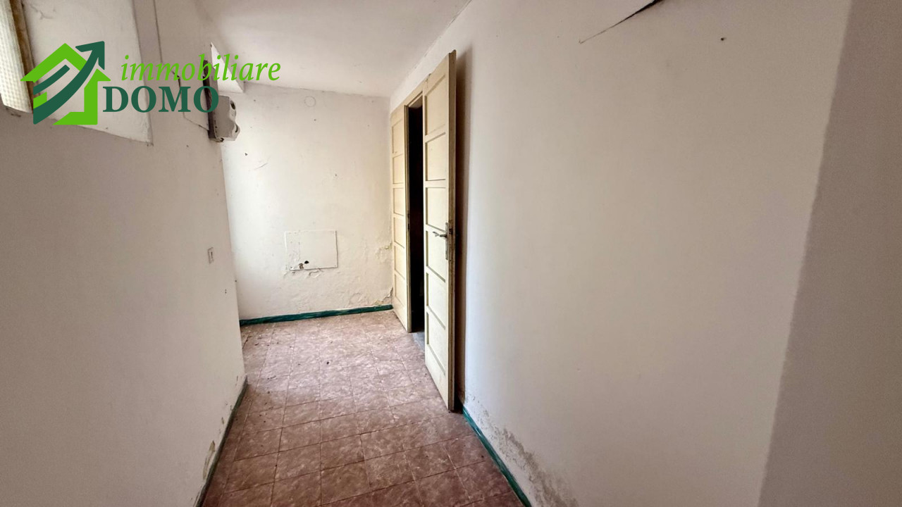 066__whatsapp_image_2026-01-08_at_12_48_02__4_wmk_0