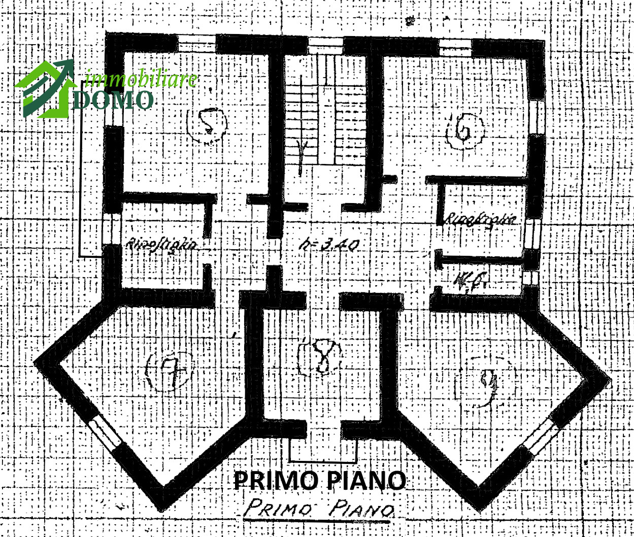026__pianta_piano_primo_wmk_0